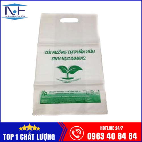 Túi Tự Hủy